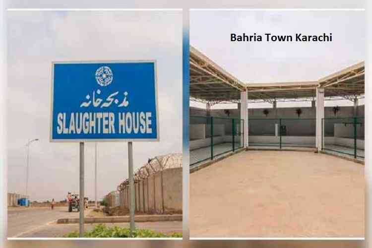 Slaughter Houses in Bahria Town Karachi - Eid ul Azha 2019 at Bahria Town