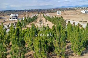  4 mara Plot for sale in CBR TOWN PHASE 2 