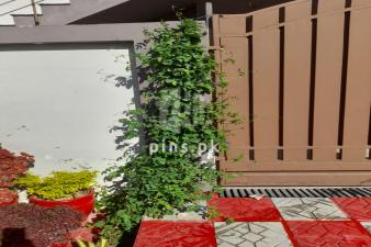 160 Sq Yards Banglow Saima Arabian Villas 