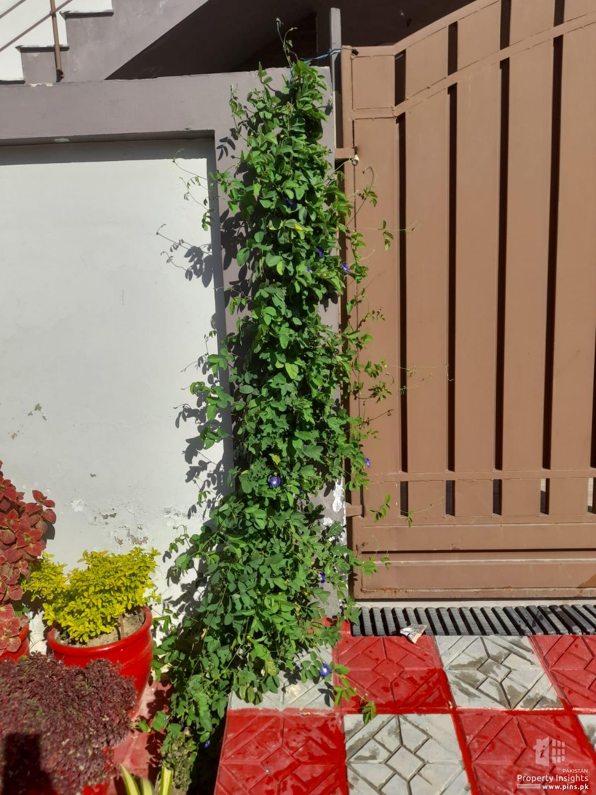 160 Sq Yards Banglow Saima Arabian Villas Plot for Sale in Karachi