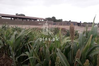 Cattle Goat Dairy Fish Poultry Bara Farm House and Warehouse Business