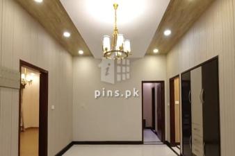500 Yards Brand New Banglow for Rent in DHA Phase 6